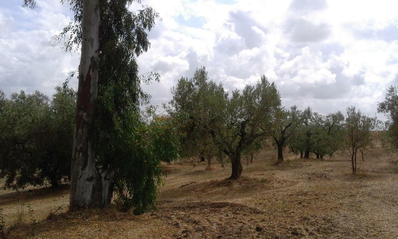 Poderi Di Tragliatella Exterior foto